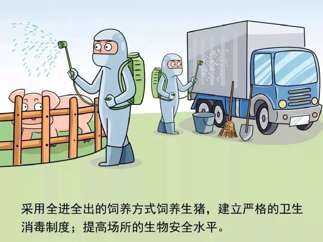 美国疫情最新发现及其背后的温馨日常故事