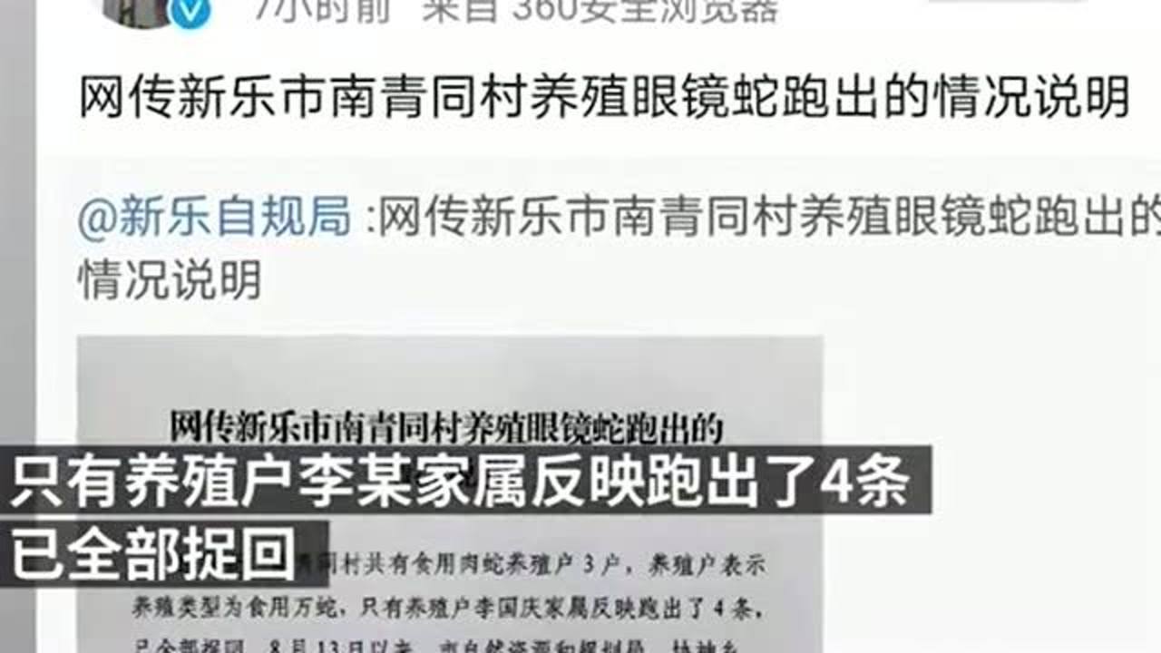 新乐眼镜蛇蜕变之路，自信成就与励志闪耀的瞬间
