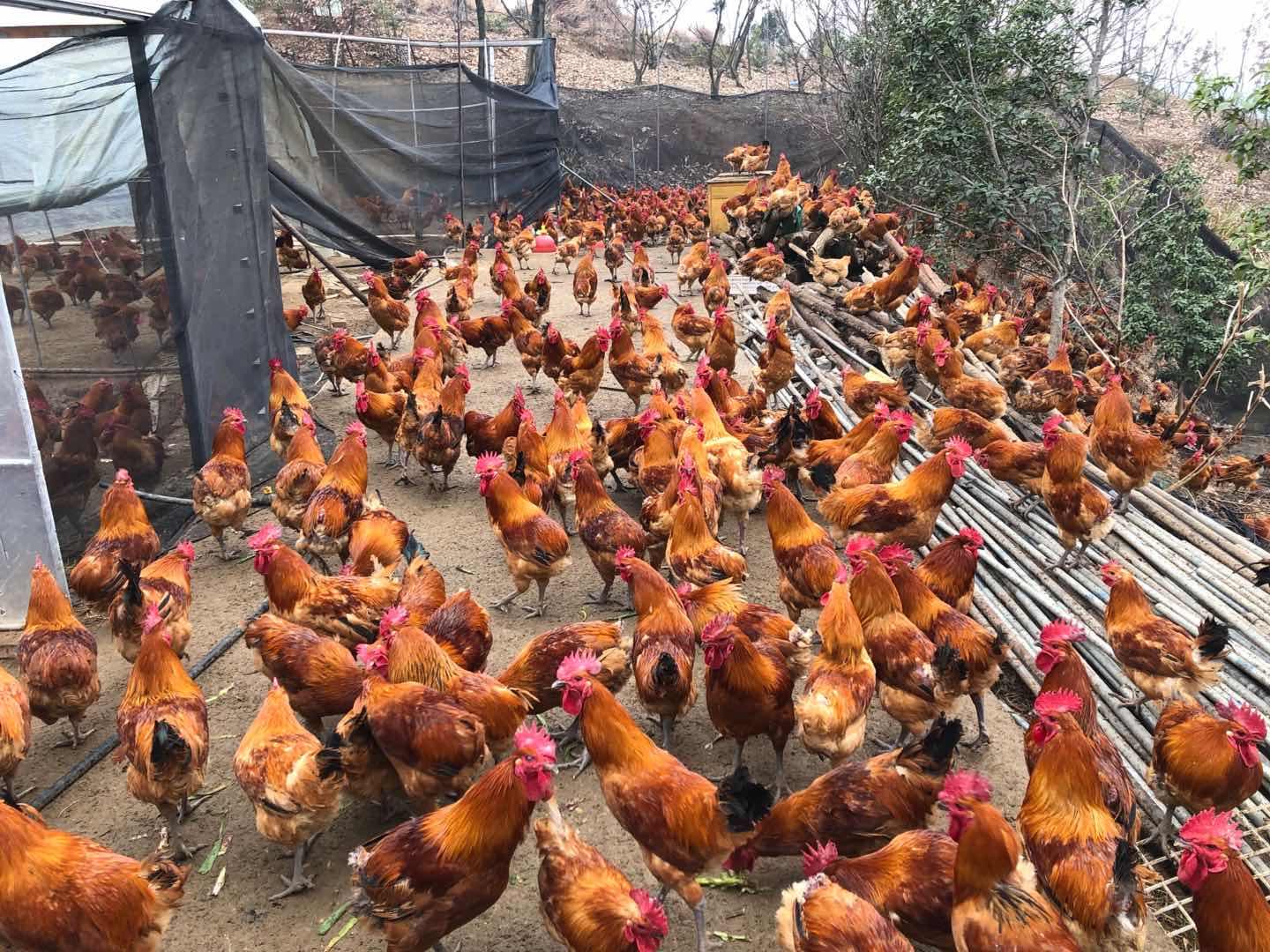 南京疫情最新动态更新📢🌸