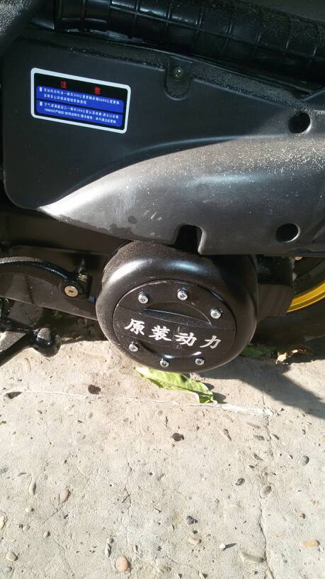 踏板最新发动机,温馨故事揭晓时刻