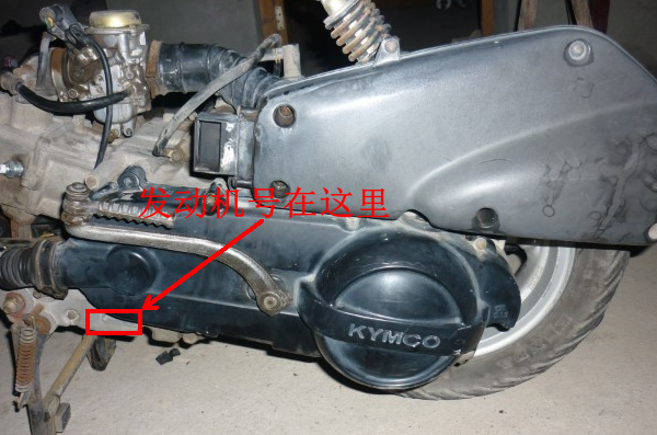 踏板最新发动机,温馨故事揭晓时刻