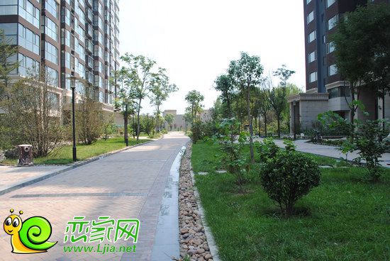 邯郸芳林小区绿意盎然新动态，美好升级揭秘！