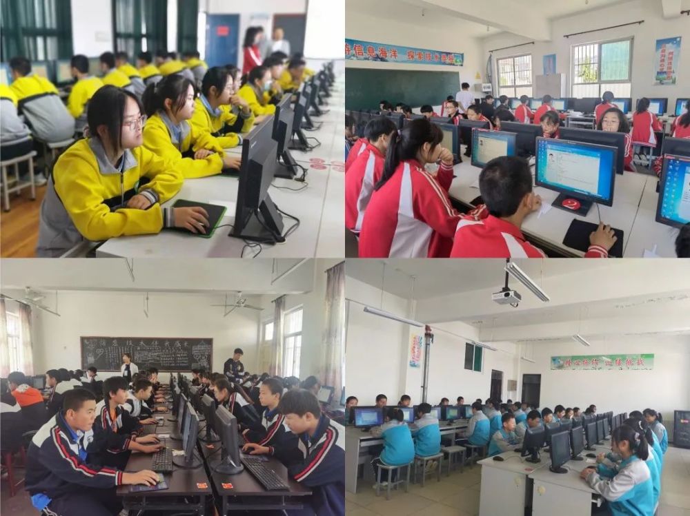 恰如情深似暖阳最新,任务完成与技能学习详细步骤指南