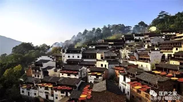 魏登峰最新任职与小巷特色小店探索之旅