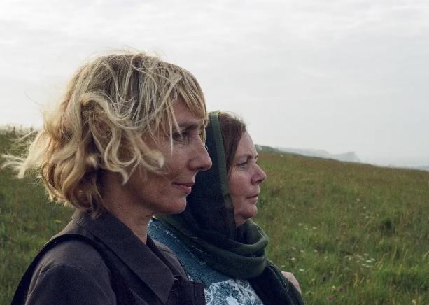 四川最新招工,小城奇遇与友情的温暖纽带