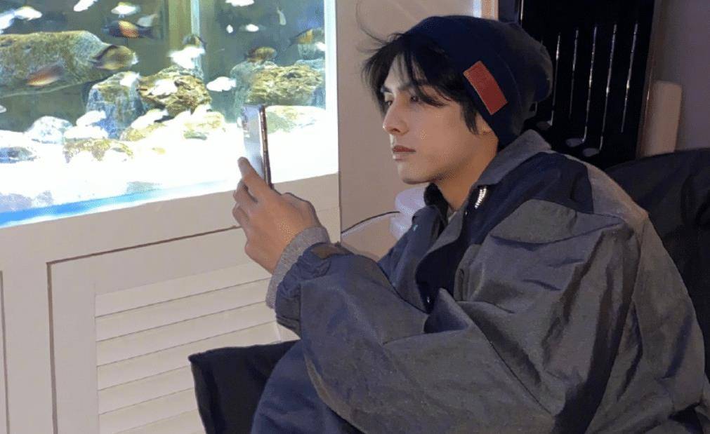 张新成谭松韵最新动态揭秘，演艺之路三大看点聚焦！