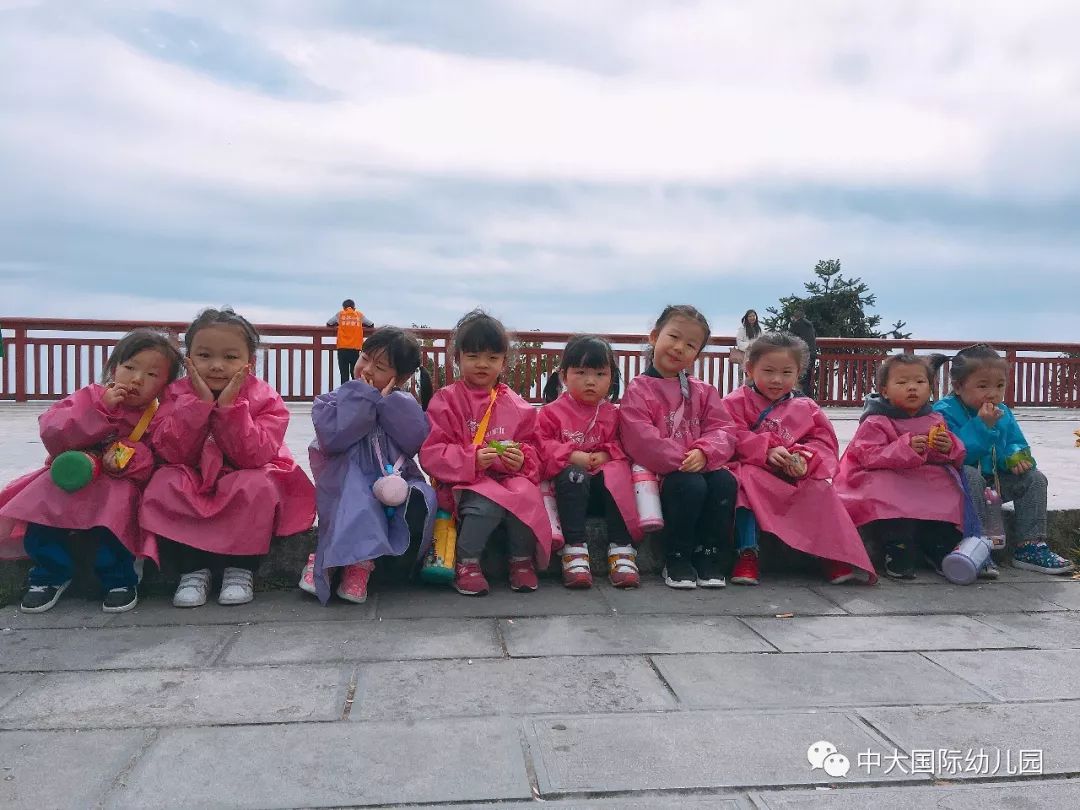 幼儿园开学最新动态，多方视角的深入探讨与洞察