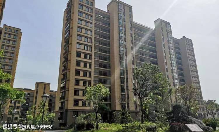 我国最新政策详解,一步步了解政策实施步骤指南