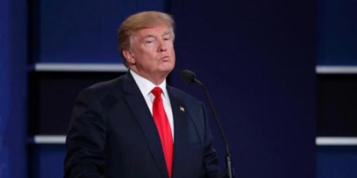 特朗普谈最新选举,参与选举过程的学习指南