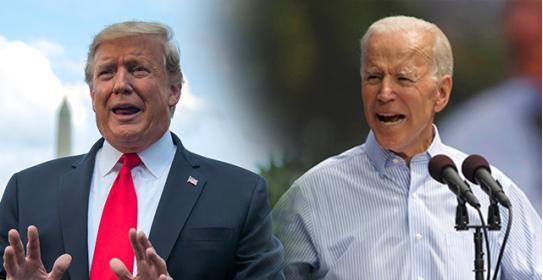 特朗普谈最新选举,参与选举过程的学习指南