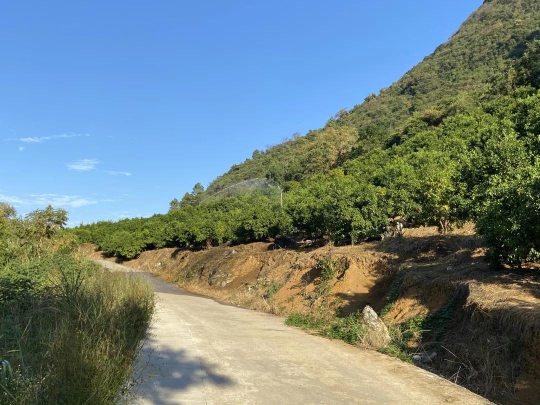 广州车牌最新竞拍价及小巷深处的探秘之旅