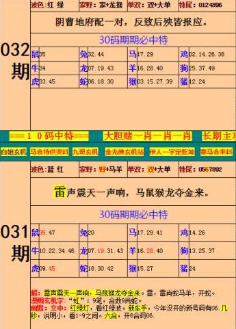 小鱼儿正版免费资料论坛,实地说明解析_XE版56.301-6
