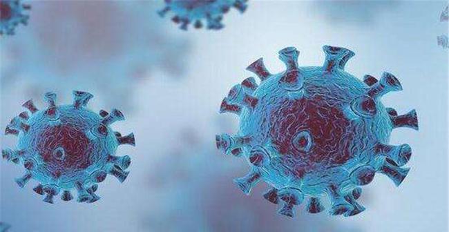 世界新冠病毒最新动态与大自然美景的治愈之旅