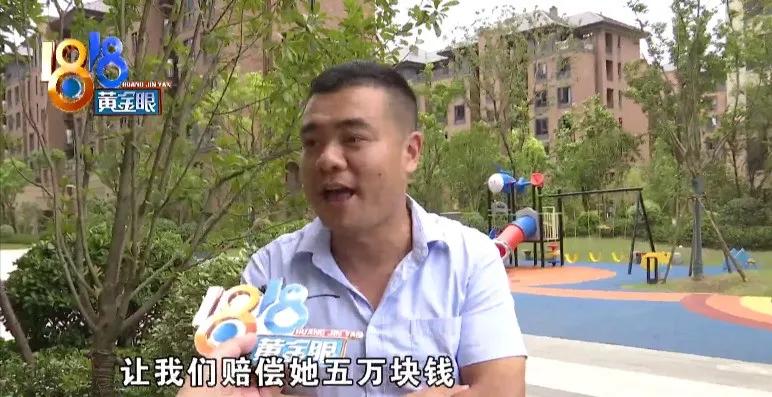 之江商业最新动态揭秘，重磅更新与商业进展速递🚀