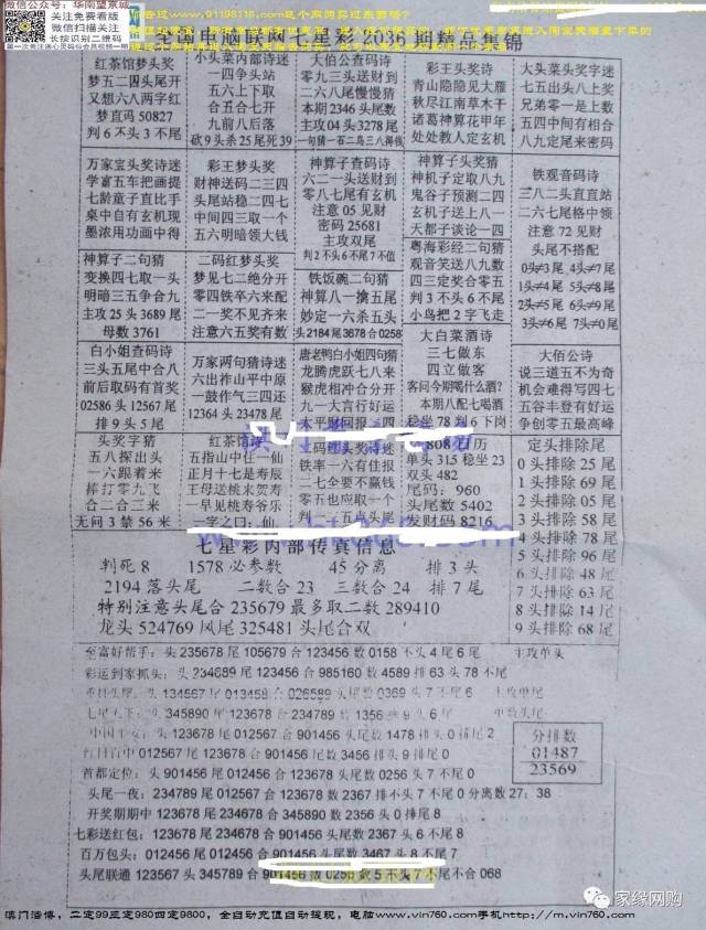 正版老鼠报资料,统计数据解释定义_特供款25.696-1