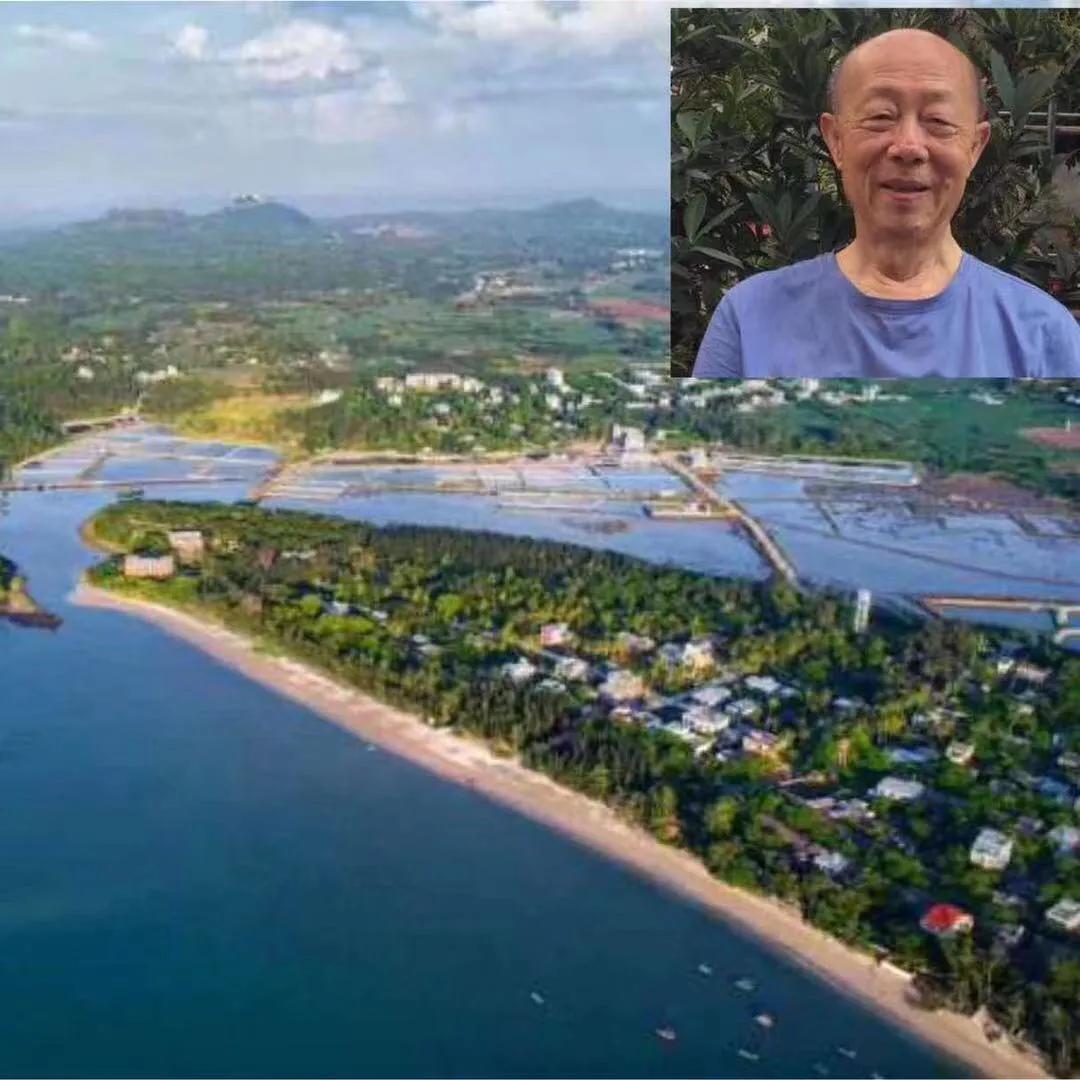 光遇最新活动先祖揭秘，心灵与自然的奇妙旅行之旅踪探秘