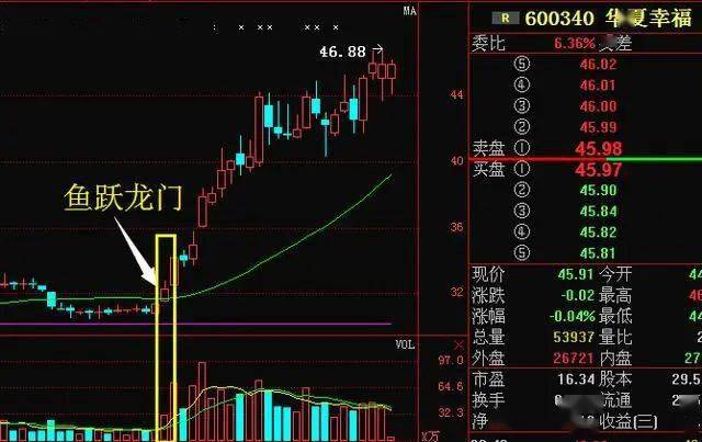 新澳最精准正最精准龙门客栈,先进技术执行分析_复古版52.640-8