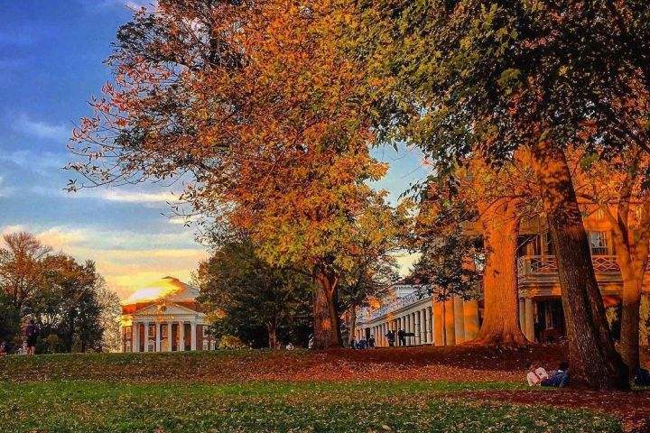 美国新冠肺炎最新动态，自然探索中的抗疫挑战