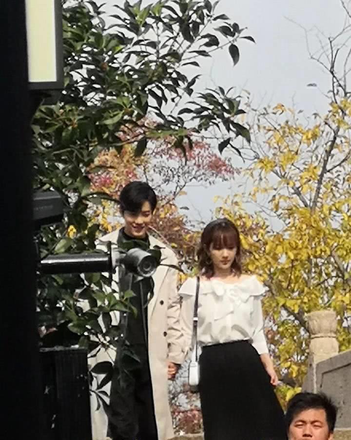 杨紫肖战关系最新动态揭秘,娱乐圈热议焦点!