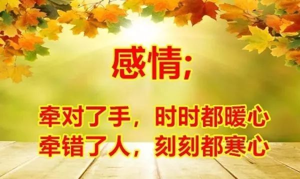 最新歌曲舞蹈简单易学,温馨日常故事中的舞步魅力