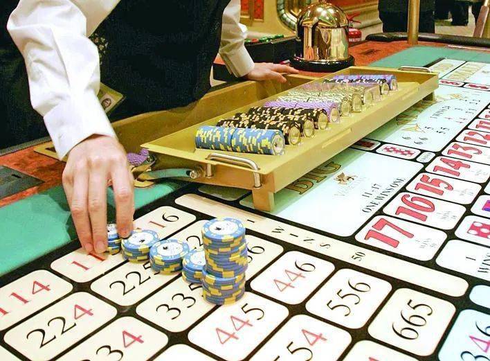 澳门六合金手指,决策信息解析说明_专属款73.758-2