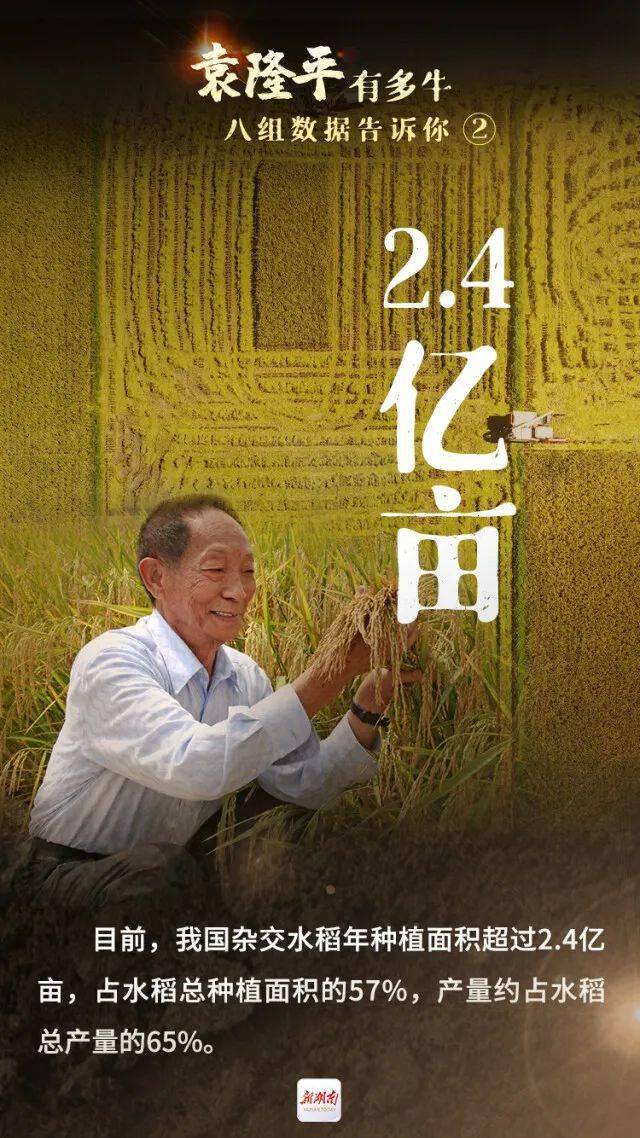 澳门天天开奖单双八肖,深入执行方案数据_HD36.252-3