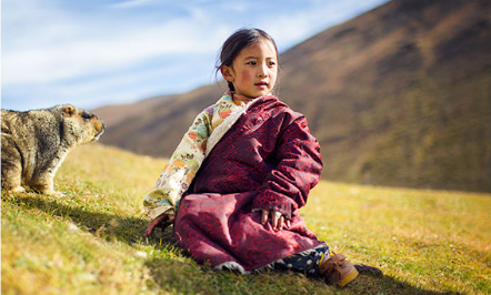 谢金最新动态,自然美景探索之旅,追寻内心平和与喜悦