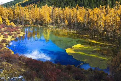 糖猫最新款式,自然美景探险之旅的启程点