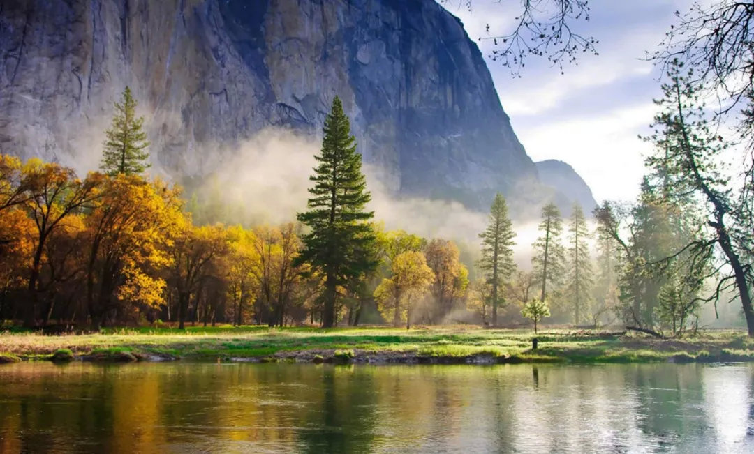 糖猫最新款式,自然美景探险之旅的启程点