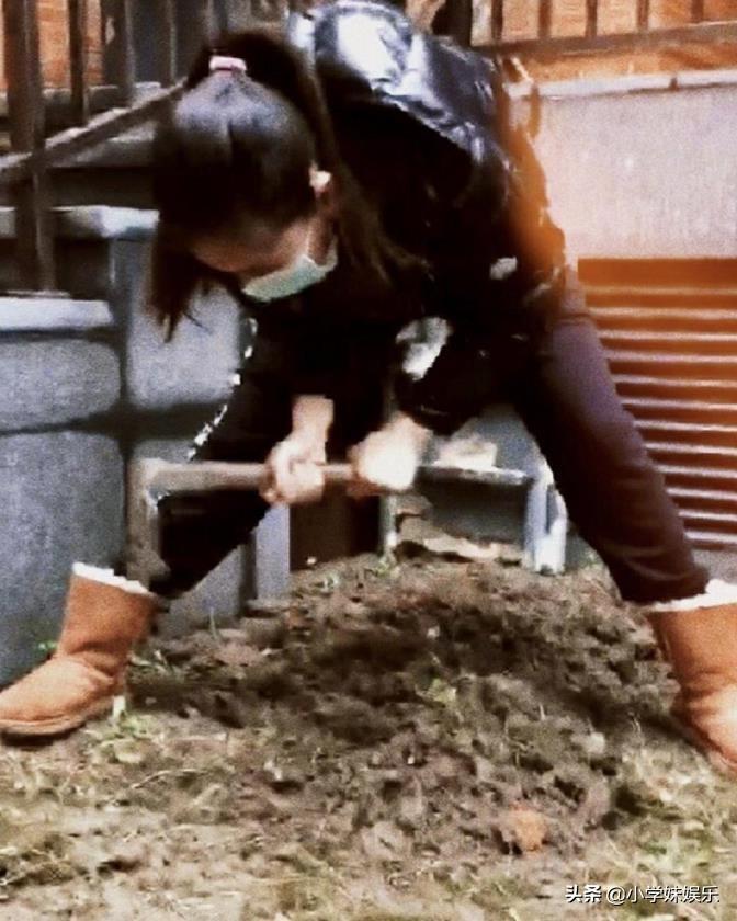 北京教育局疫情最新动态,变化中的学习之旅,自信与成就感的重塑