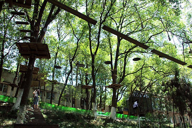 我的世界中文最新下载,启程温馨的探险之旅