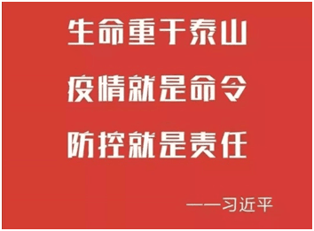 肺炎疫情最新通报卫健,变化中的学习展现信心与成就的力量
