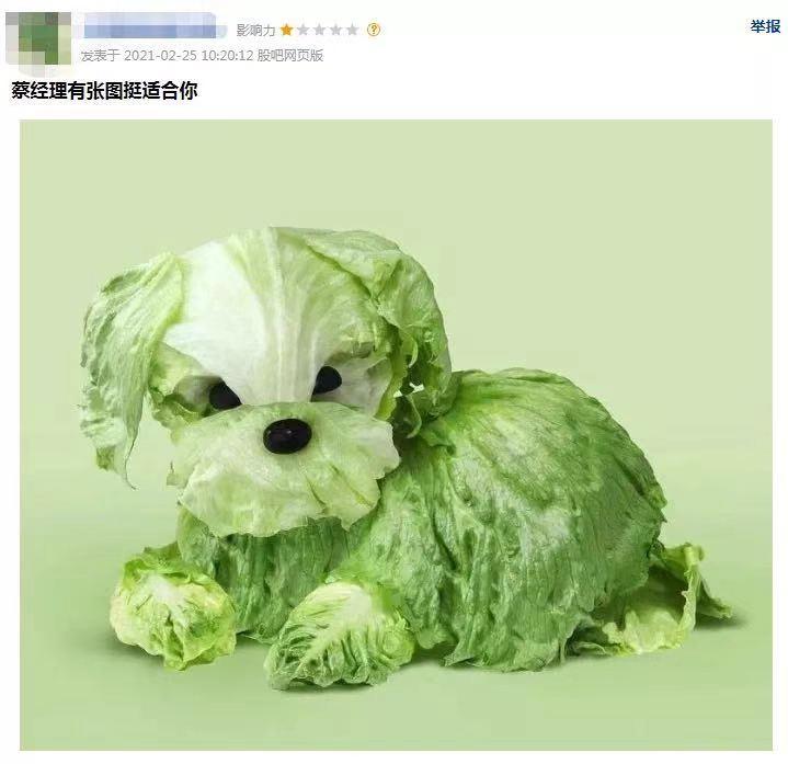 诺安基金经理最新信息,诺安基金经理最新信息，深度解析及观点阐述