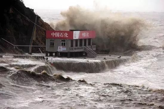 旅顺台风最新动态，风暴中的记忆与实时更新