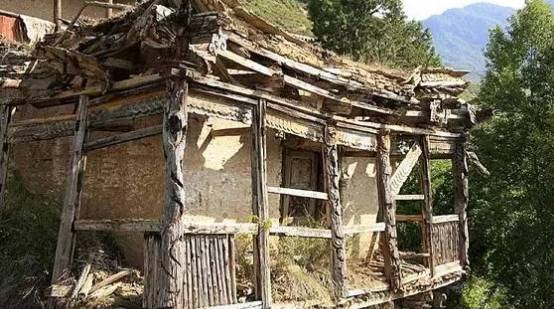 甘孜州最新发现，小巷深处的独特风味美食