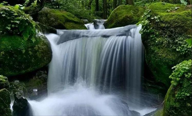 LOL手游最新活动翻译，自然美景的探索之旅