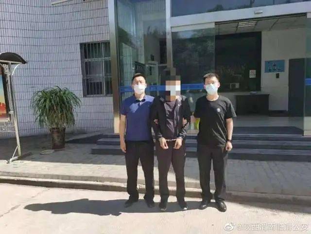 日本旅行最新政策,科技重塑旅行体验之旅