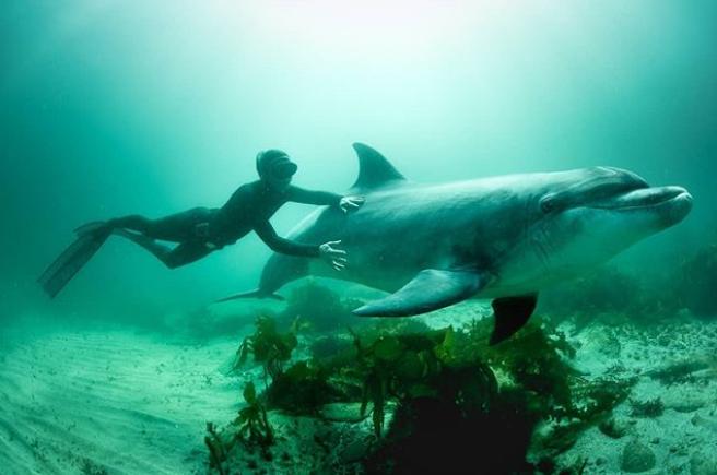 铁矿石涨价背后的美景之旅,探寻内心平静的探险之旅