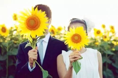 葵花宝盒最新版，日常趣事与情感纽带的分享平台