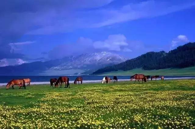 大香人伊网最新，自然美景之旅，探寻内心平和之地