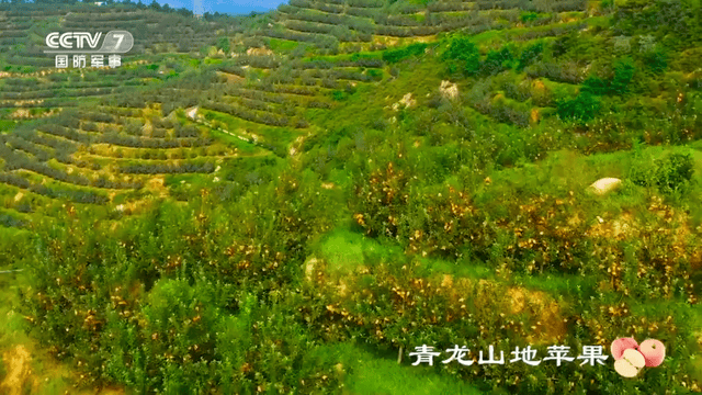 最新星力注册送288,最新星力注册送288，一场自然美景的探险之旅，启程寻找内心的平和与宁静