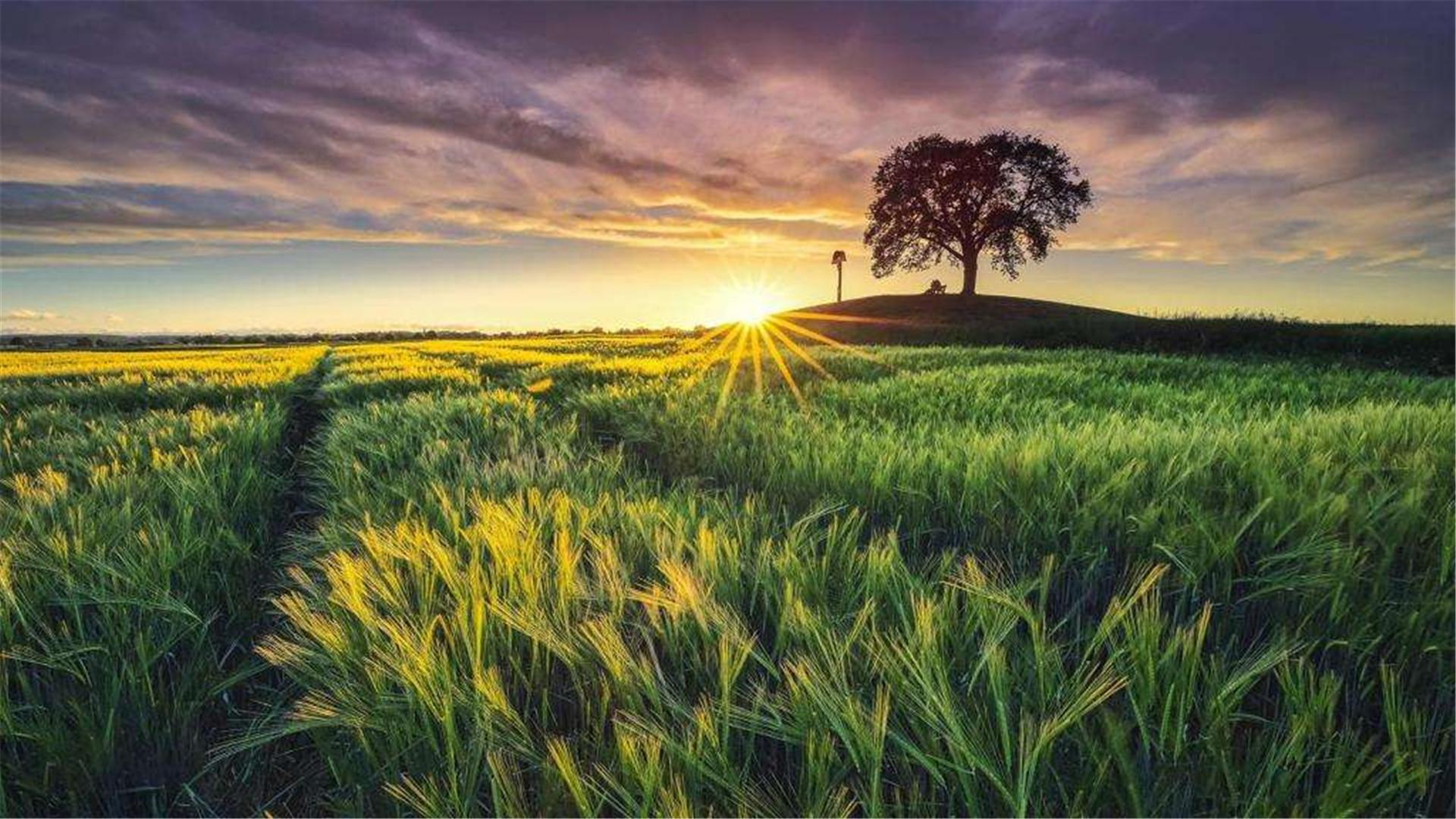 小说网最新版，最新阅读体验的探索