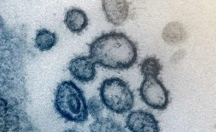 贞硕商显智能科技 第645页