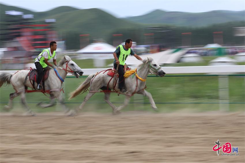 2024天天彩正版资料大全,定量解析解释法_职业版MNF80.374