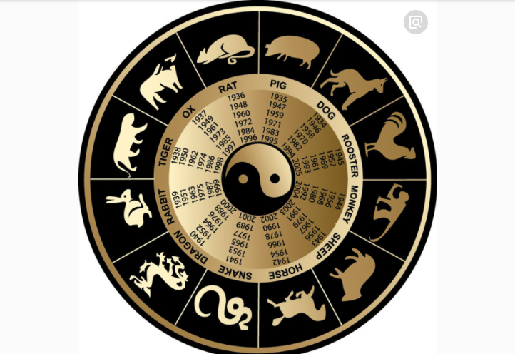 2024十二生肖49码表,科学分析严谨解释_户外版CSL8.651