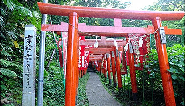 液晶拼接屏 第637页