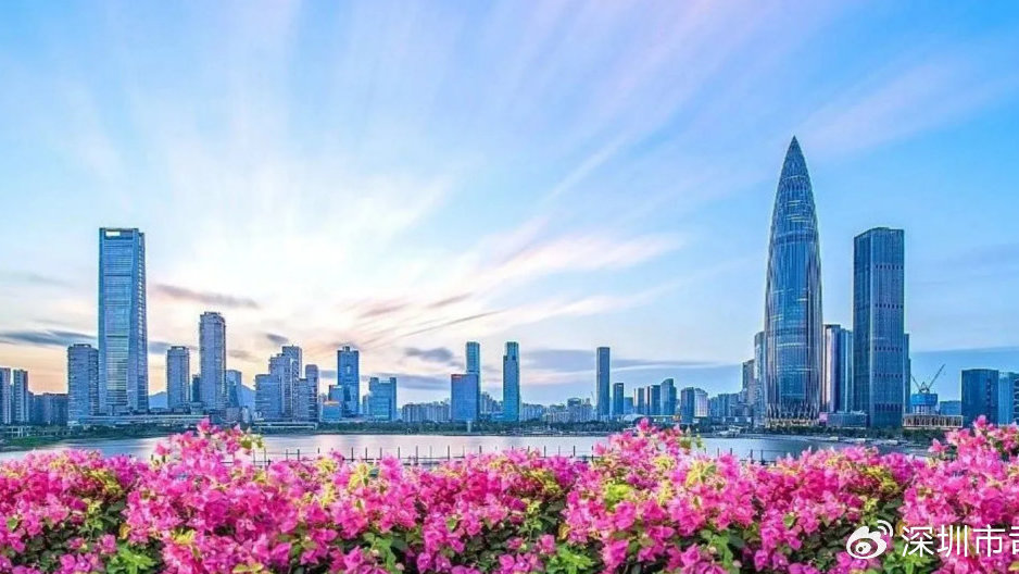 深圳法律法规最新更新,探索自然美景,寻找内心平静的旅程