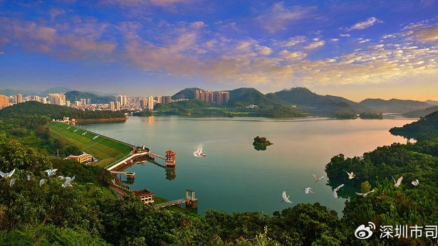 深圳法律法规最新更新,探索自然美景,寻找内心平静的旅程