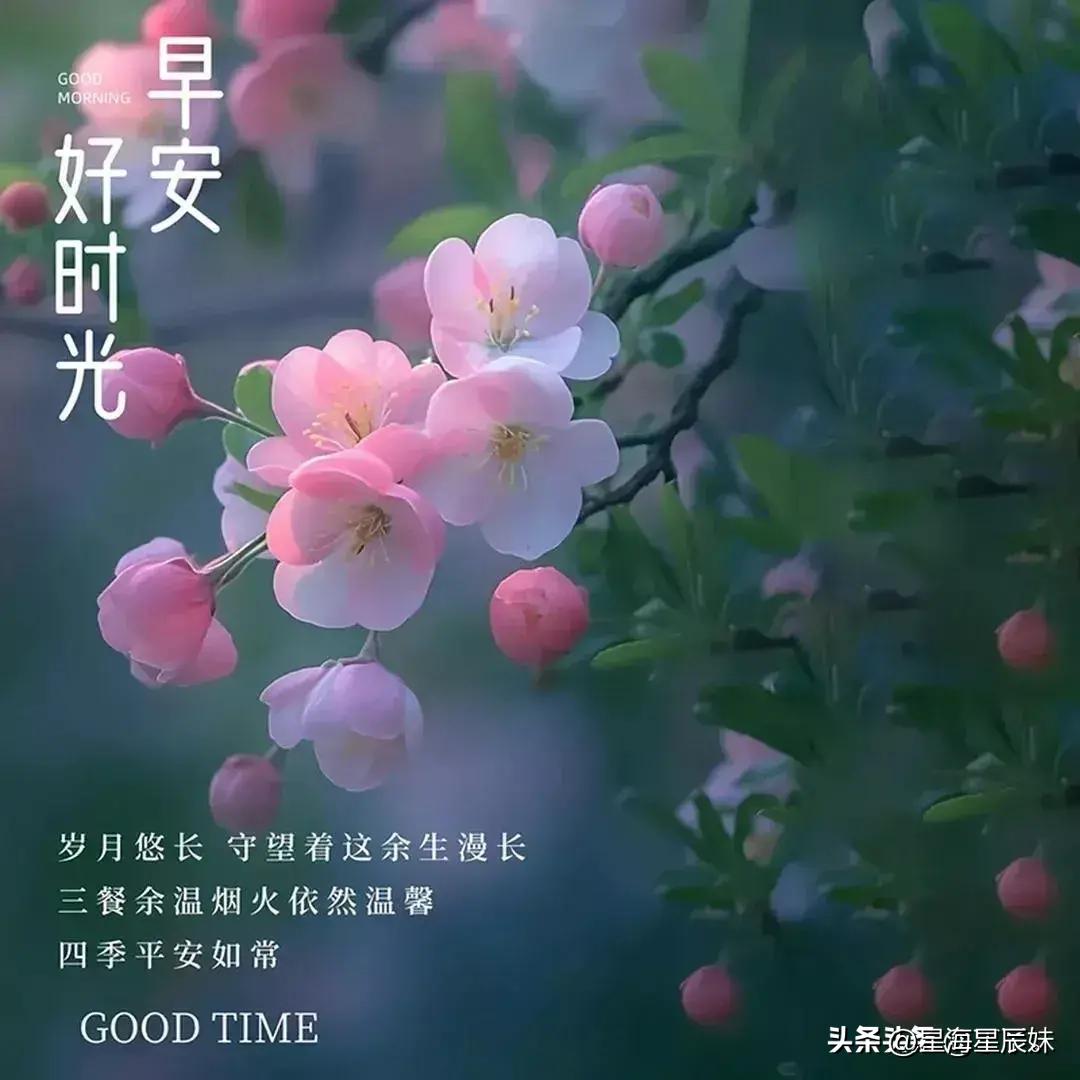 2024年天天彩免费资料,定量解析解释法_远程版NHG32.506