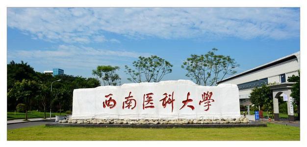 🌟成都公司最新政策解读与详解🌟